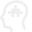 Specialization icon