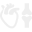 Specialization icon