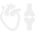 Specialization icon
